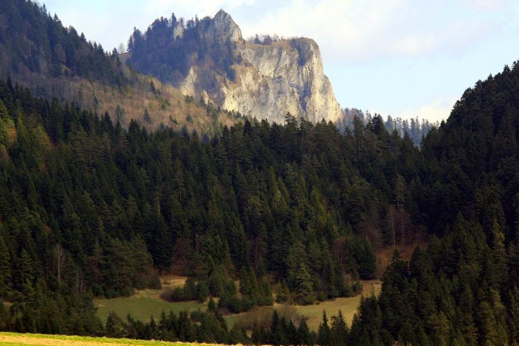 Gospodarstwo Karolina Huba Exterior foto